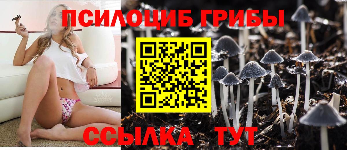 Псилоцибиновые грибы MAGIC MUSHROOMS Семёнов
